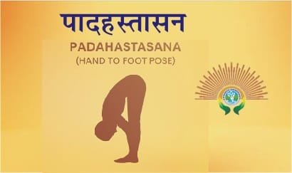 yoga protocol: padhastasana