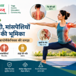 योगासन में रीढ़ की हड्डी, मांसपेशियों, जोड़ों और शरीर के सही संरेखण को दर्शाता चित्र।